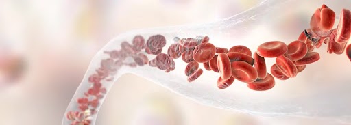 人活多久，看手背血管就知道！血管若有這六個特徵，恭喜你身體還算健康