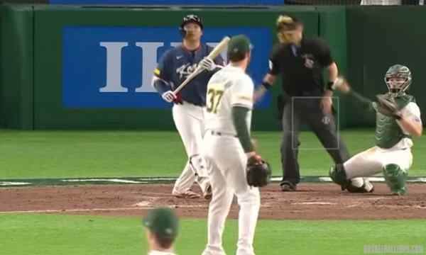 WBC嚴查！文保景放水鐵證，違反大會2規章、沒收比賽+邁阿密門票