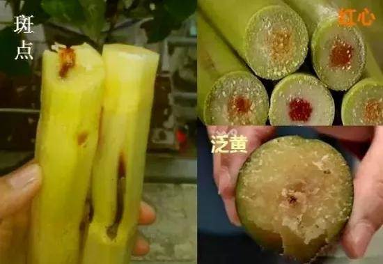 這五種食物發黴後有劇毒， 第一種正大量上市，家裏有的盡快扔掉