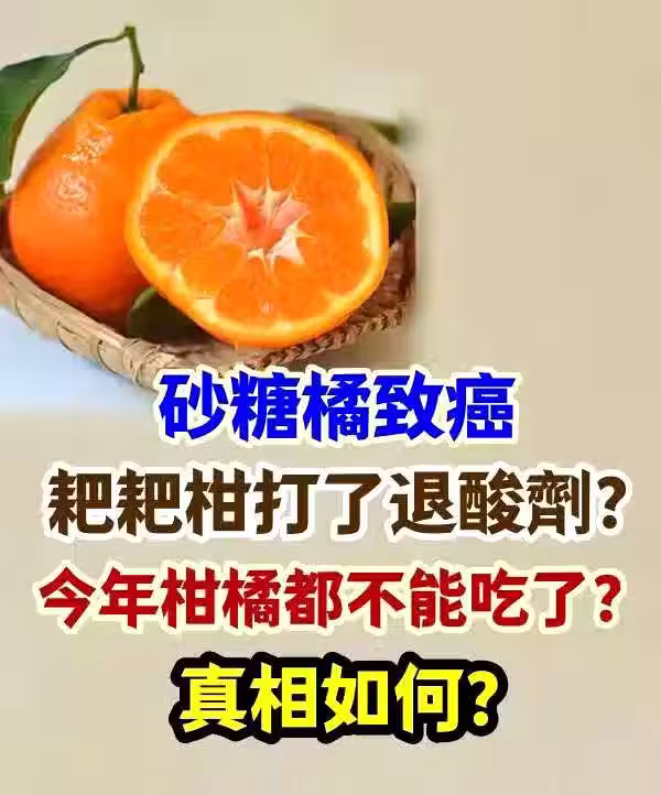 砂糖橘致癌、耙耙柑打了退酸劑？今年柑橘都不能吃了？ 真相如何？