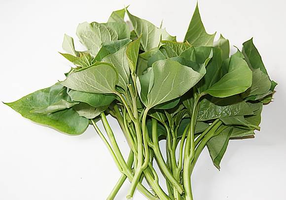 肝癌指數飆破4千!83歲阿嬤「肝癌沒人顧」不肯開刀 天天吃一食物「7個月後腫瘤消失」醫生也看傻