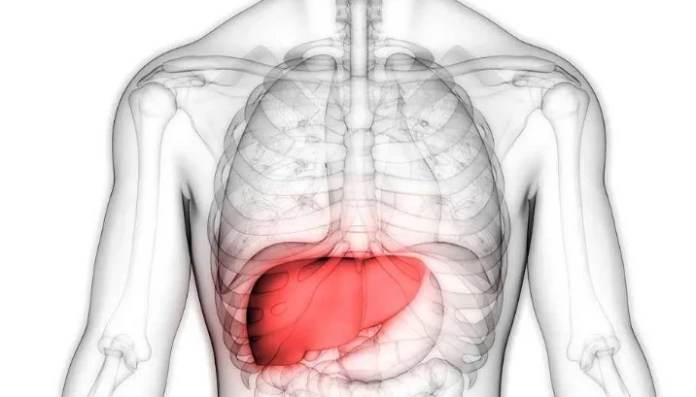 是肝在「求救」！身體發出「這2個聲音」不要忽略 很多人以為是腸胃不舒服：白白拖成癌