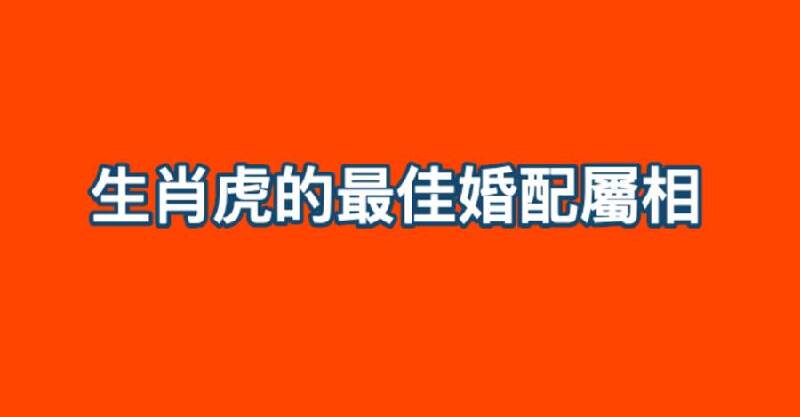 不可錯過：生肖虎的最佳婚配屬相，破解屬虎人的絕配神秘組合！ 趣聞圖說