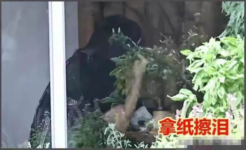 言承旭墓園祭拜大S！停13分鐘...不見具俊曄，卻看見「他1個遺留物」轉身瞬間淚崩：太殘酷